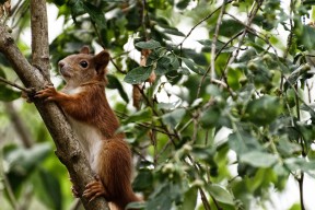 开云·体育官网APP下载-西甲精彩过人：速度与技巧的完美结合，西甲精彩进球