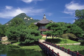 开云官方网站-越南男篮在亚洲锦标赛中奋勇争先，期待历史突破