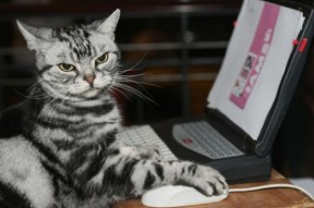 开云官方网站-中国足球青训联盟组织多层次比赛，中国足协青训中心