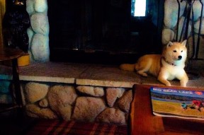 开云官方网页登录-刘伟：职场“人人追逐职位”反映导向引领缺失