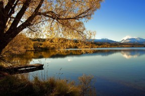 开云网页版-阿尔巴尼亚男篮在欧洲预赛中展现英勇，期待突破