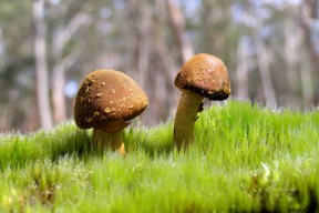 kaiyun开云·官方网站-9人药厂新帅带队3-1胜出，滕哈格11打10被绝平成遗憾，腾哈格执教风格