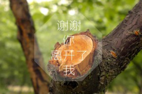 Kaiyun官方登录入口-中小学篮球比赛设置技术评比鼓励全面发展选手，学校篮球比赛竞赛规程