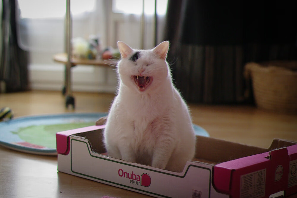 中国青少年篮球推广策略及校园篮球发展，青少年篮球赛事推广