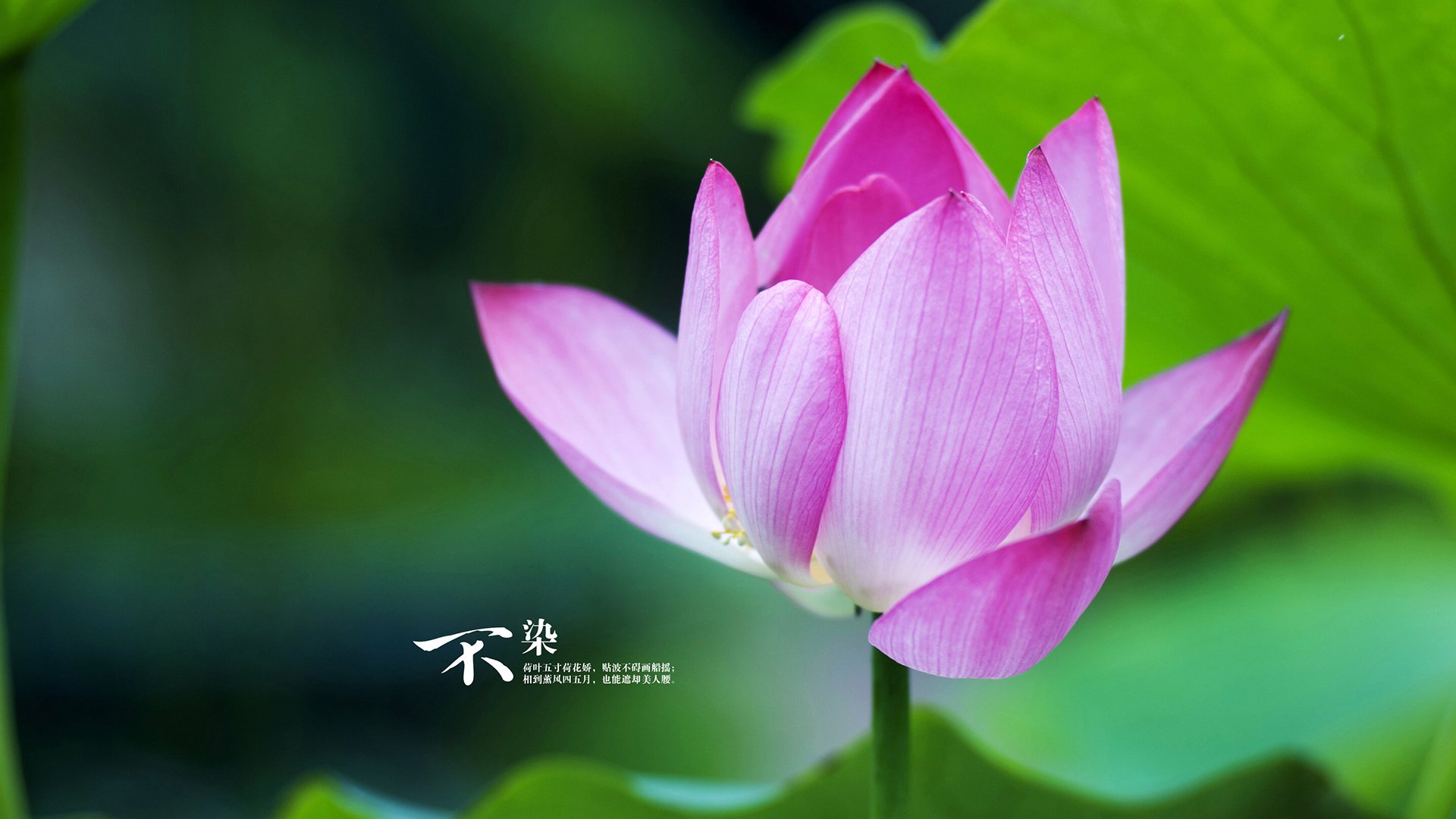 体育产业资本投入分析,体育产业发展趋势资本化