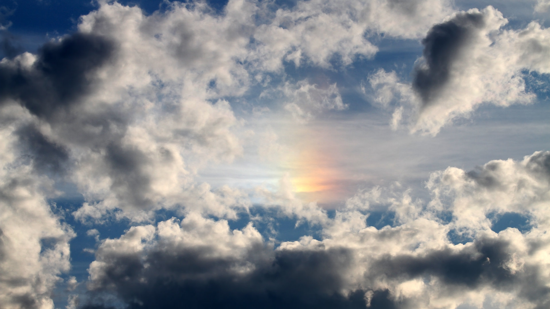 体育新闻中心推动体育赛事社交媒体互动升级，体育赛事媒体服务