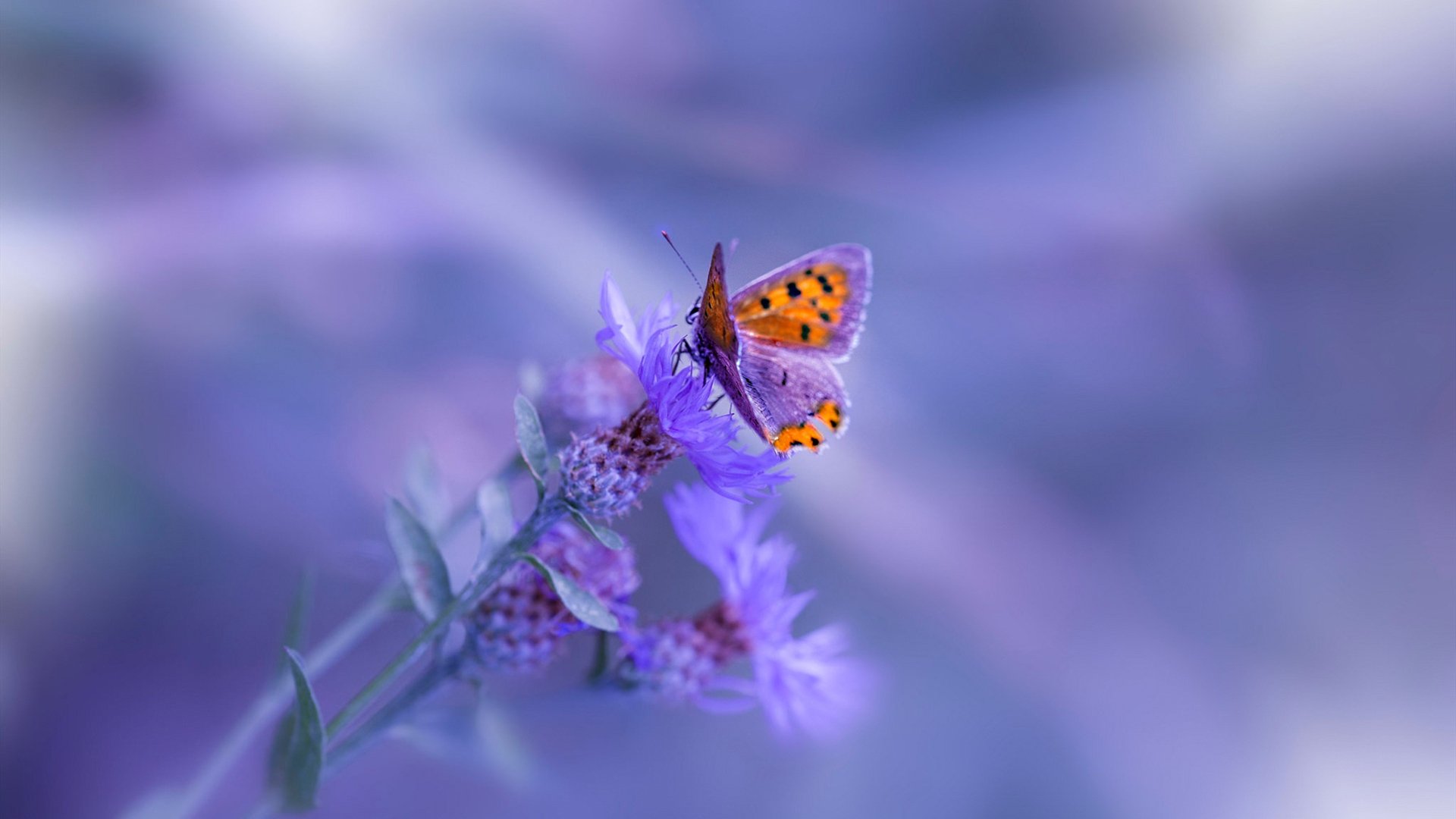 选手早训视频曝光高强度训练引关注,早训项目