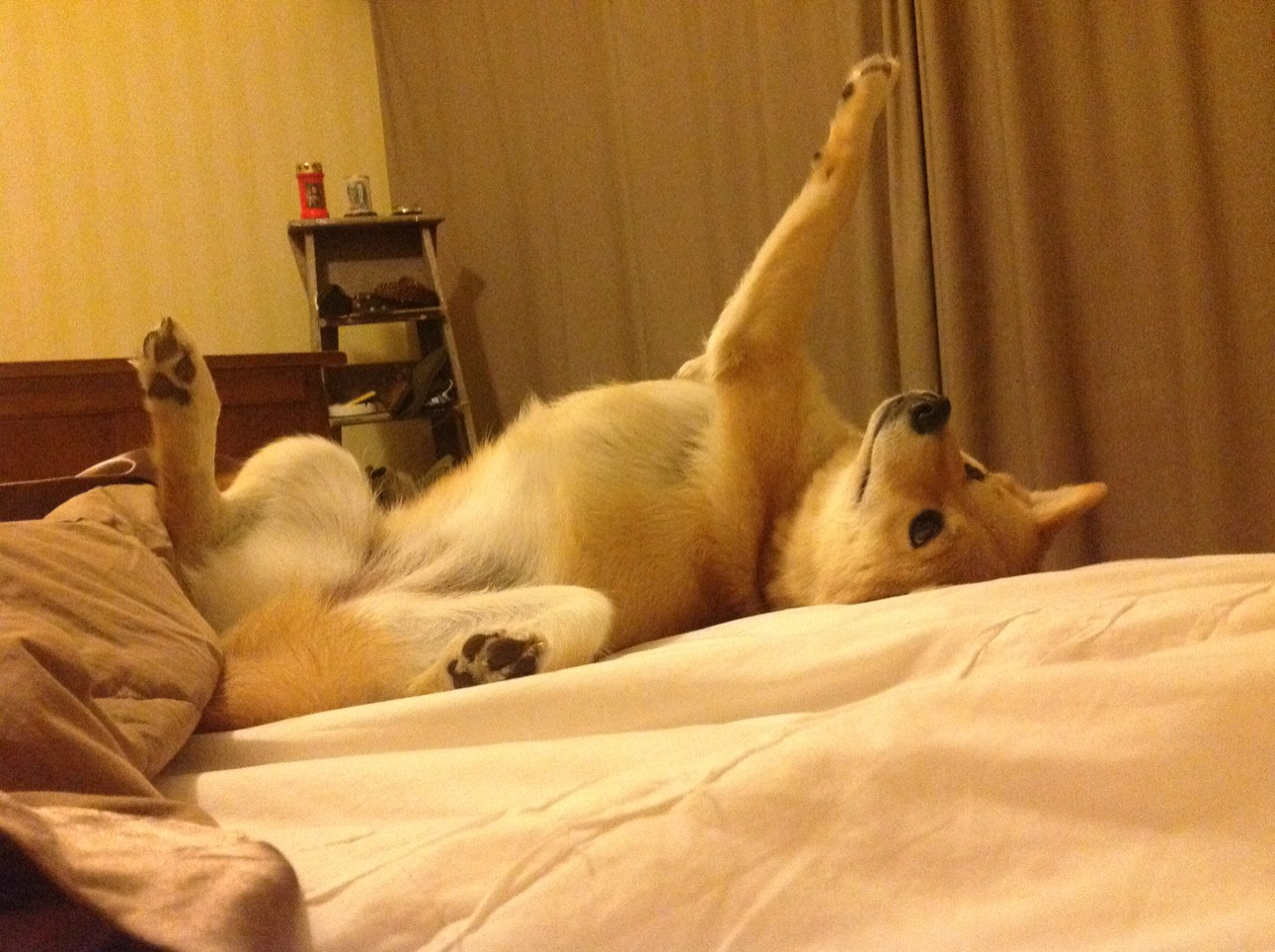 基:全黑队的“稳定器”,无论局势如何变化,他都能保持冷静