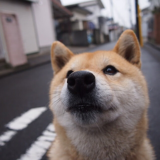 快船替补席贡献火力主教练称其是隐形力量,快船最强替补
