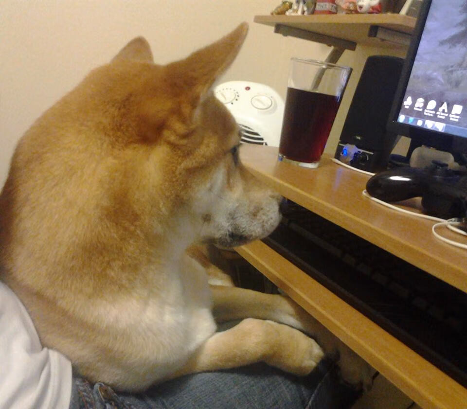 森林狼年轻阵容被外媒评为未来可期，森林狼新帅