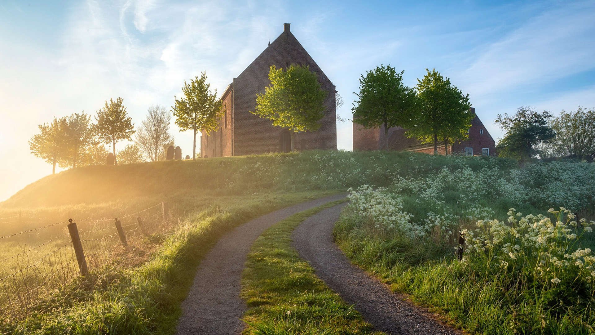 男子跳水动作细节改善显著,男子跳水几个动作