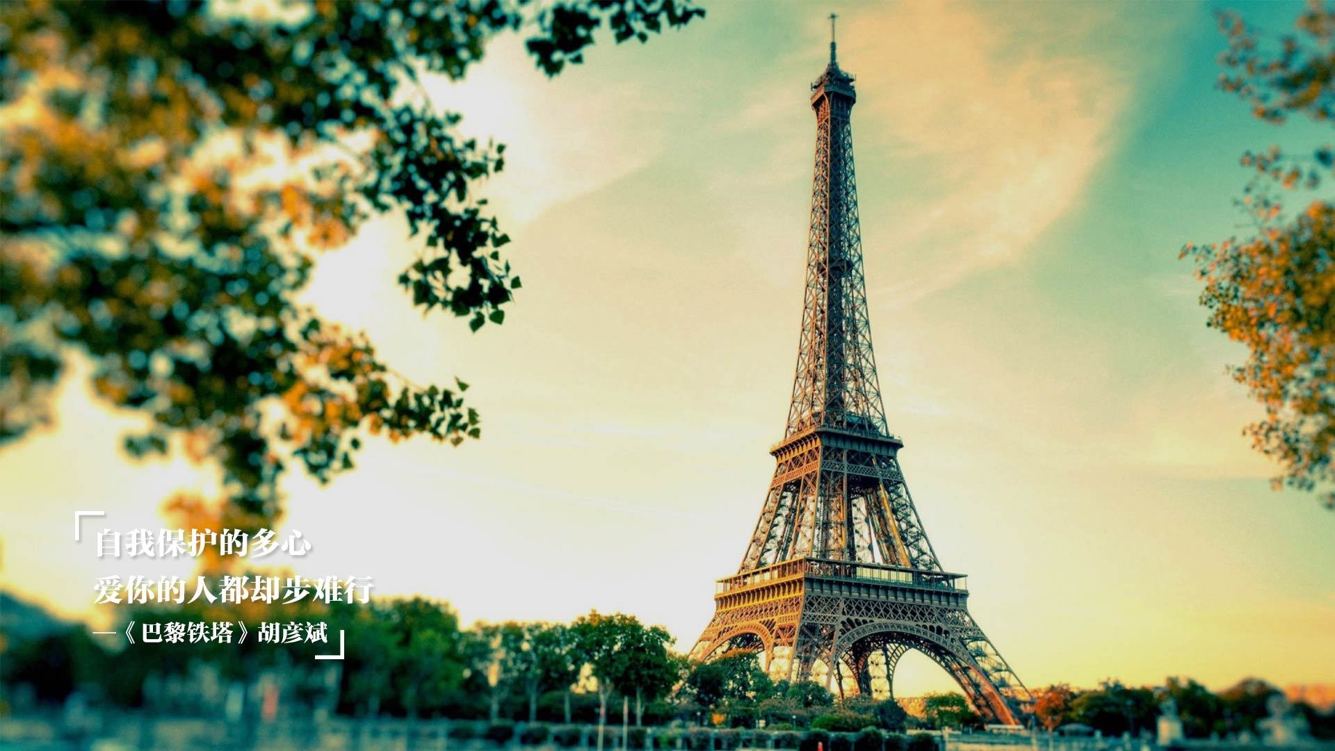 网球大师赛决赛精彩瞬间，网球大师赛决赛精彩瞬间图片