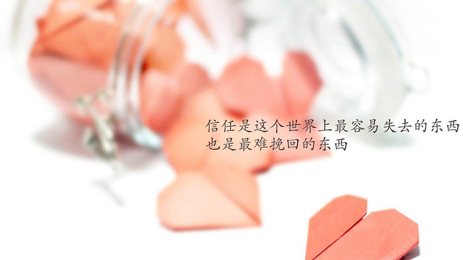 美洲杯战局激烈：逆境中焕发的斗志光芒，美洲杯解析