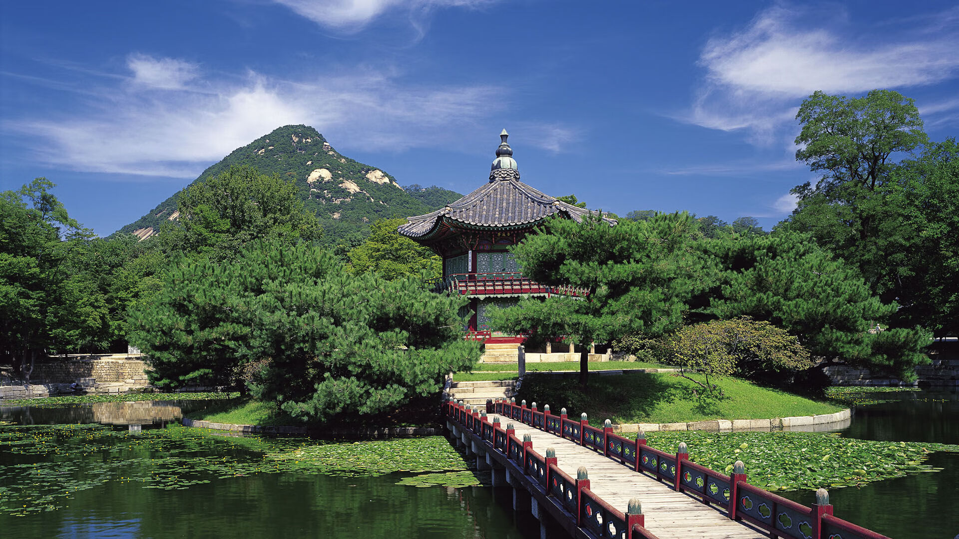 越南男篮在亚洲锦标赛中奋勇争先，期待历史突破