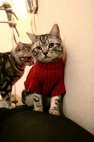 9.17起欧冠连战三天，皇马vs马赛拉开战幕！，皇马打马竞欧冠决赛