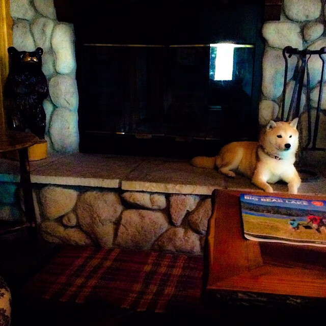 中国足球女足体能与心理双重挑战恢复机制,中国女足的训练