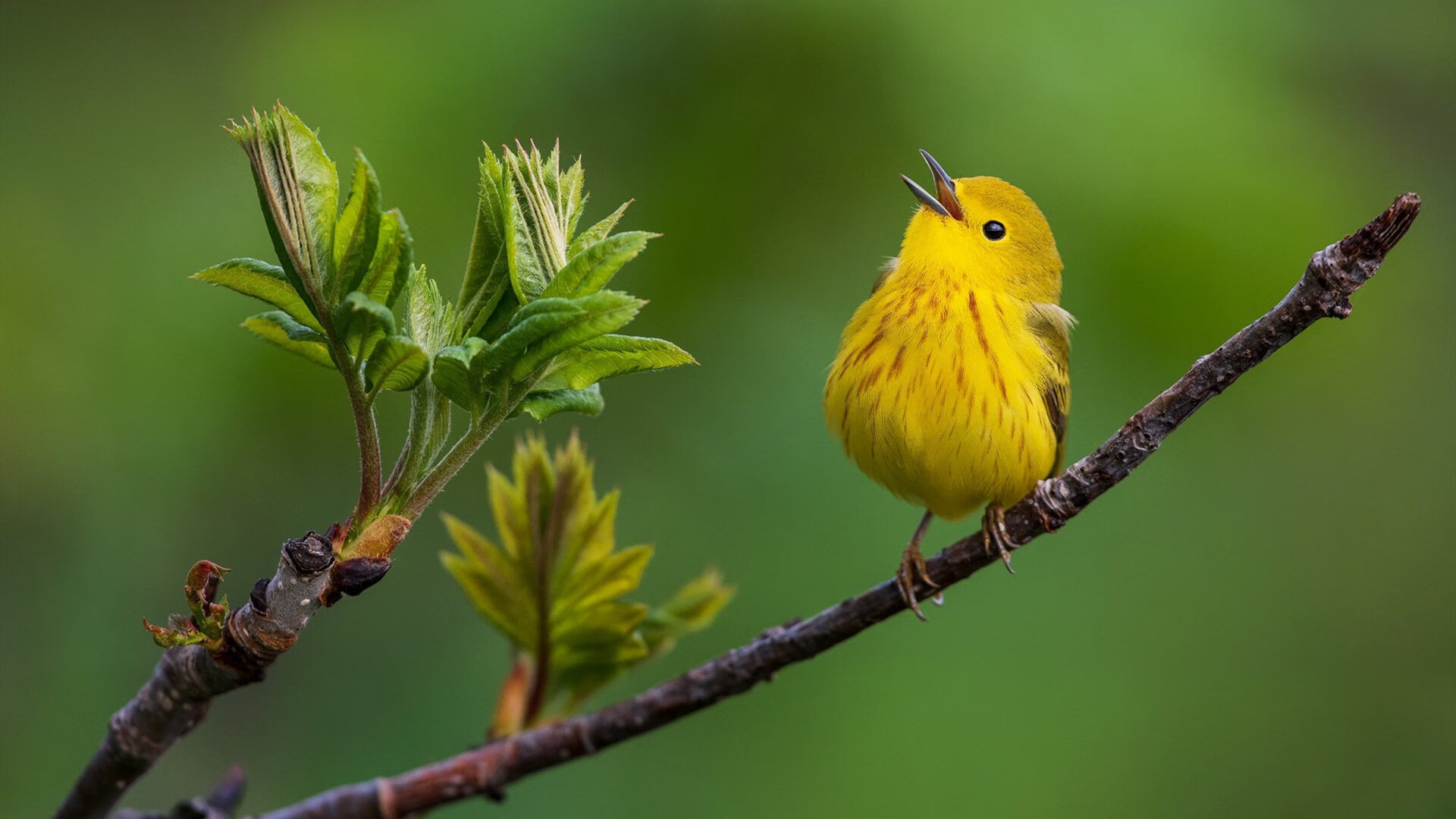 中超联赛技术装备应用现状，中超联赛采用什么赛制