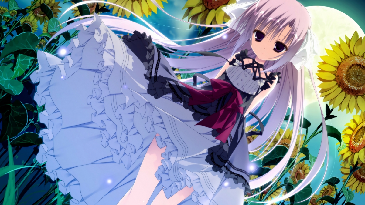 体育新闻中心打造运动教育新闻传播窗口,体育运动 新闻