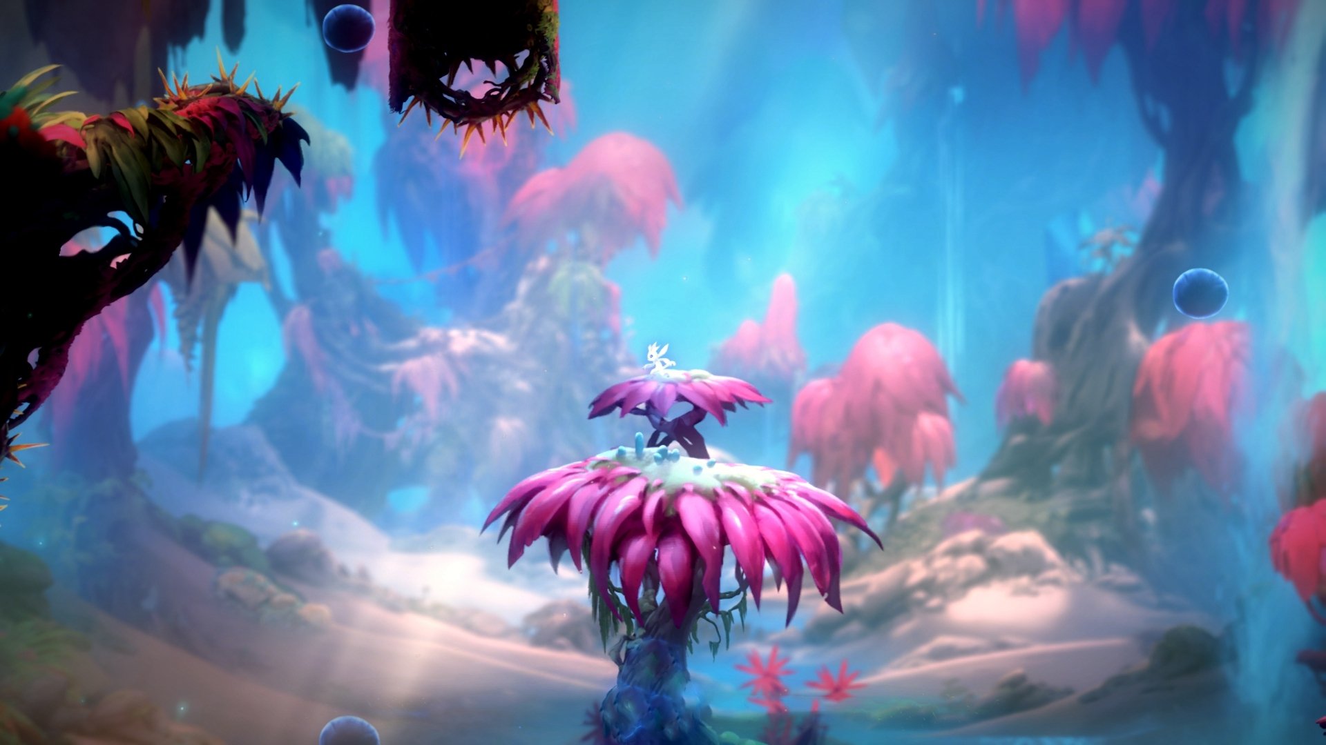 俱乐部发布社区健身计划 邀请市民免费体验，社区体育健身俱乐部名词解释