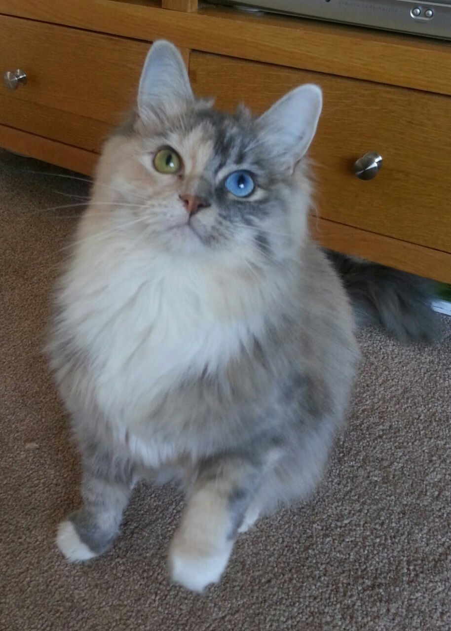 俱乐部支持青少年运动员家庭合理安排训练与学业，关于进一步加强青少年体育俱乐部建设的通知