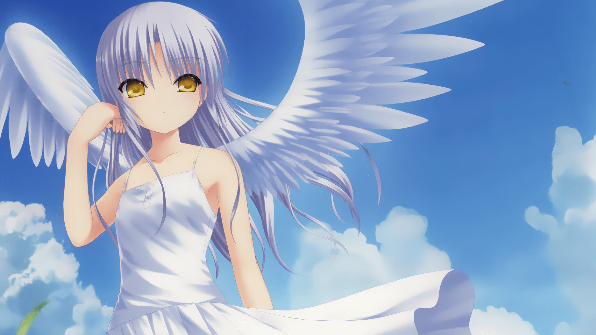 军训献血得假之说引发热议 校方回应：愿尊重个体意愿，军人献血的标语