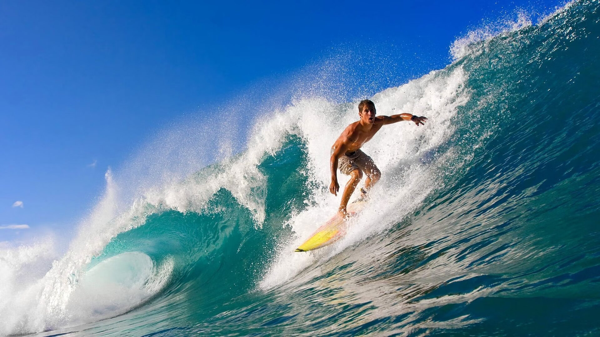 2026最热门体育比赛推荐,最火的体育赛事